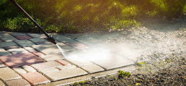 Best Sidewalk and Walkway Cleaning  in Waveland, MS