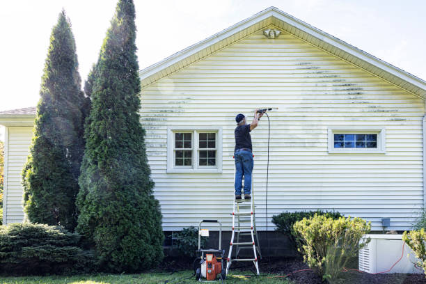 Best Animal Enclosure Cleaning  in Waveland, MS
